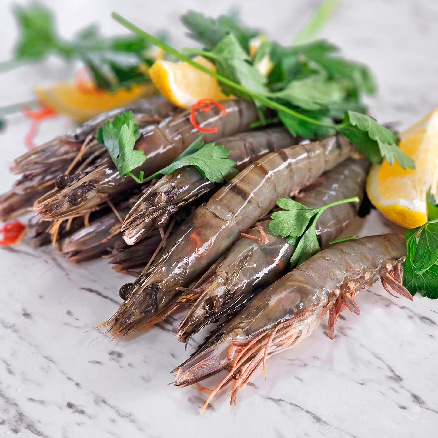 Mediterranean Seafood Grill