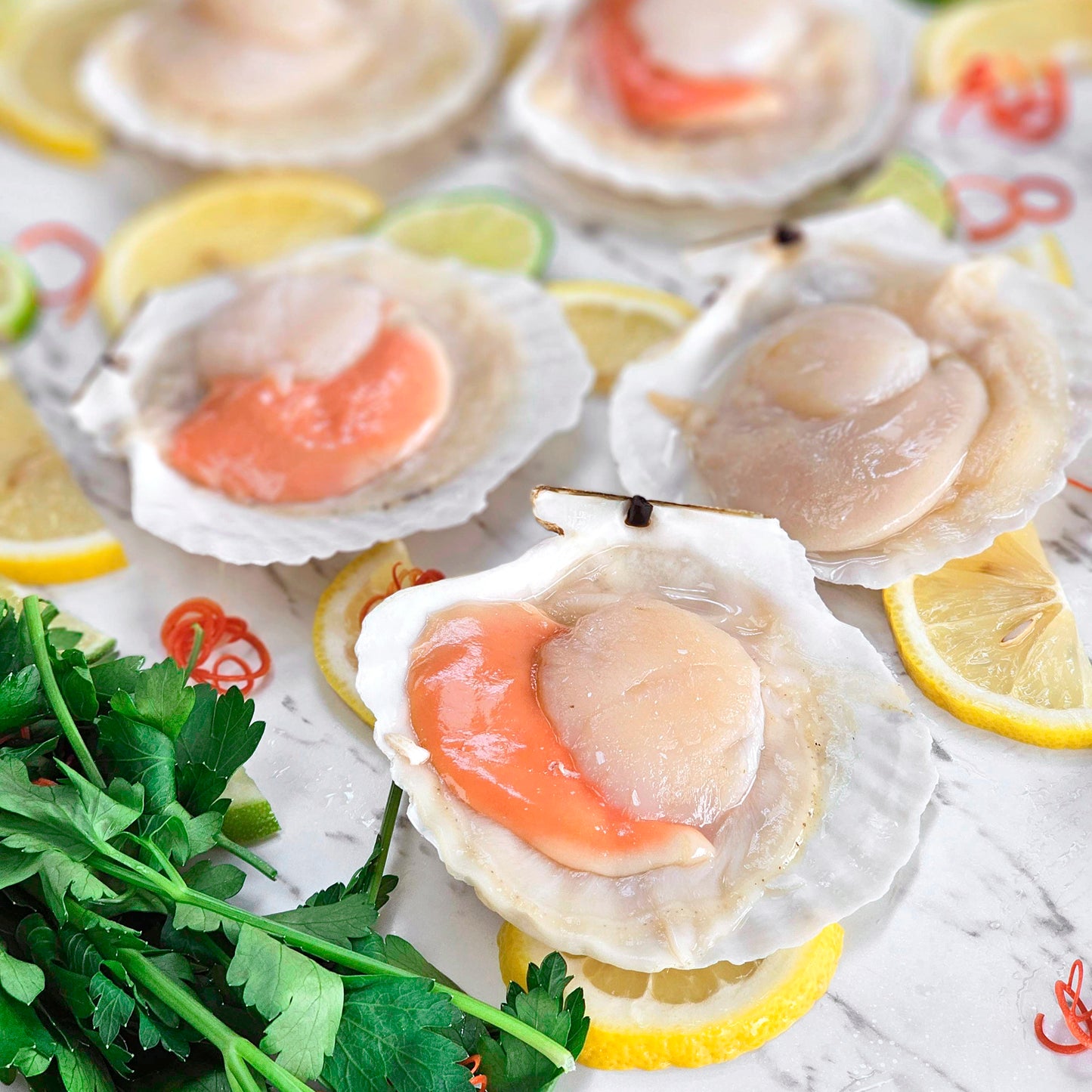 Mediterranean Seafood Grill